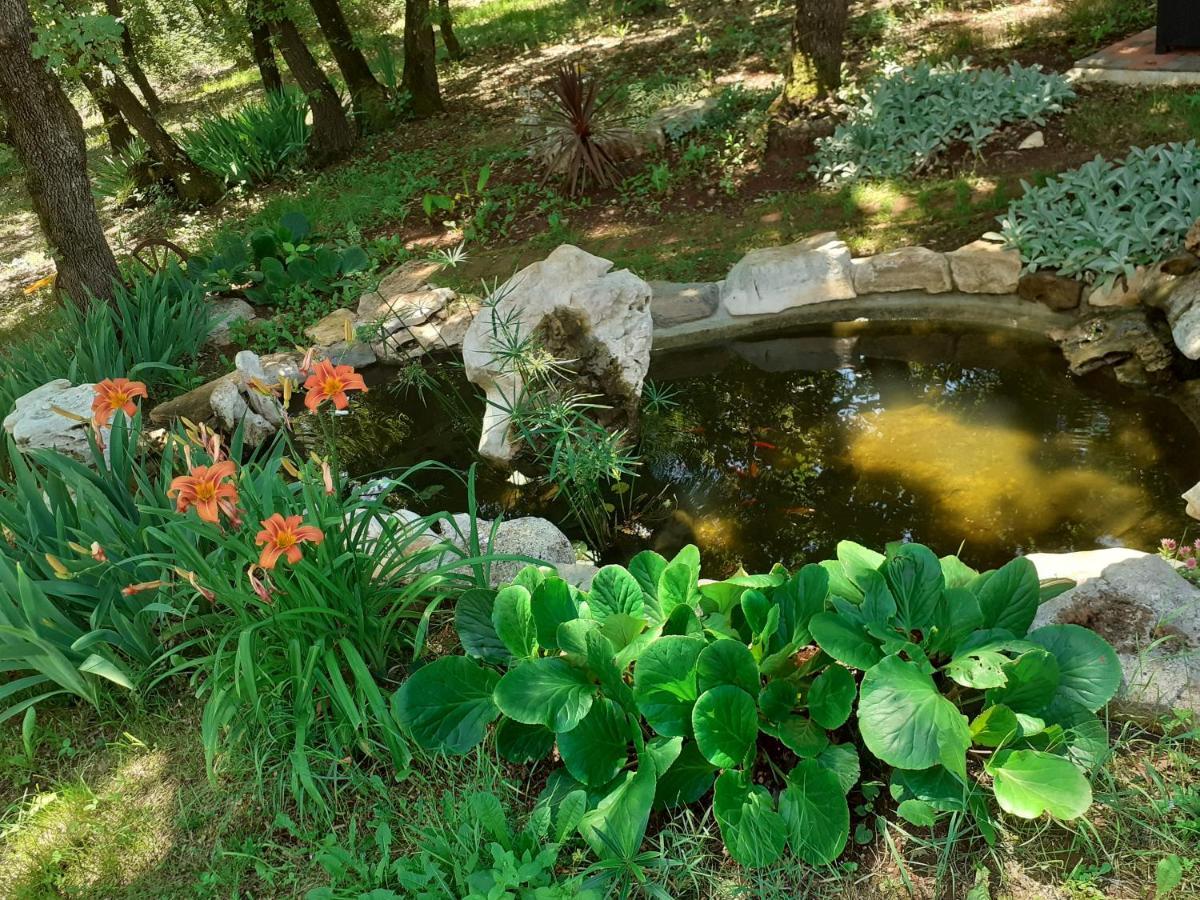 Julia Bed & Breakfast Seget (Umag)