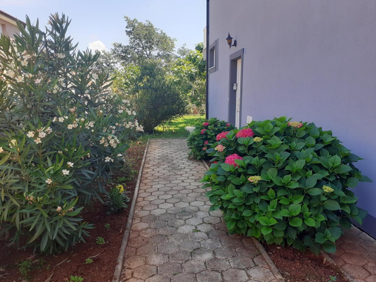 Julia 3* Seget (Umag)